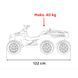 Квадроцикл Quad Sport TX Черный Чёрный PA.HL699.CZ фото 2