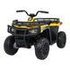 Quad 4x4 ATV WOLF Синий автомобиль Жёлтый PA.A800.POM фото