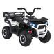Дитячий Квадроцикл Robust 01 Білий Білий PA.XMX-651.BIA фото 5