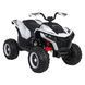 Автомобиль Quad Fast Wheel Белый Белый PA.XMX-652.BIA фото 5