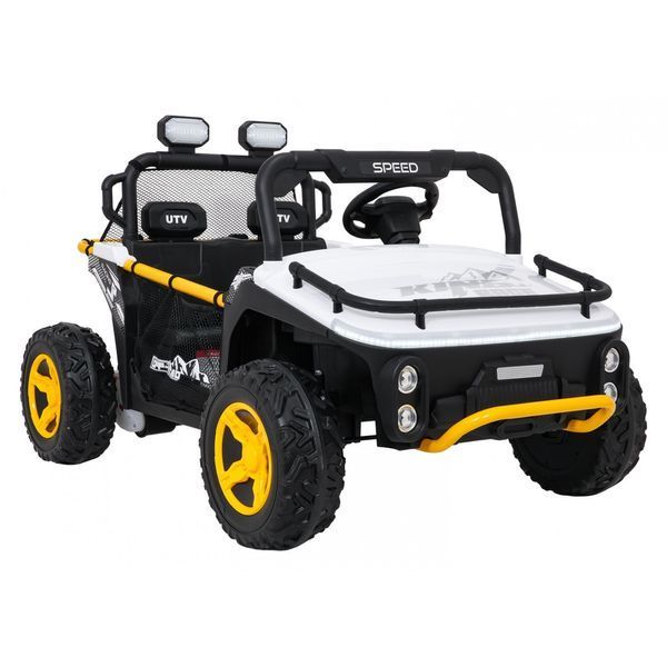 Баггі UTV SPEED Білий Білий PA.HL707.BIA фото