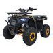 Квадроцикл бензиновий 125CC DISCOVERER Помаранчевий PSP.ATV009.8.POM фото