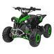 Квадроцикл бензиновий RENEGADE 110CC Зелений PSP.ATV-3C.ZIE фото