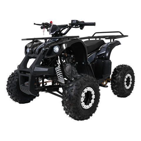 Квадроцикл бензиновий WILDPEAK 110cc Чорний PSP.ATV006.CZ фото