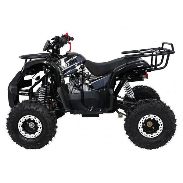 Квадроцикл бензиновий WILDPEAK 110cc Чорний PSP.ATV006.CZ фото