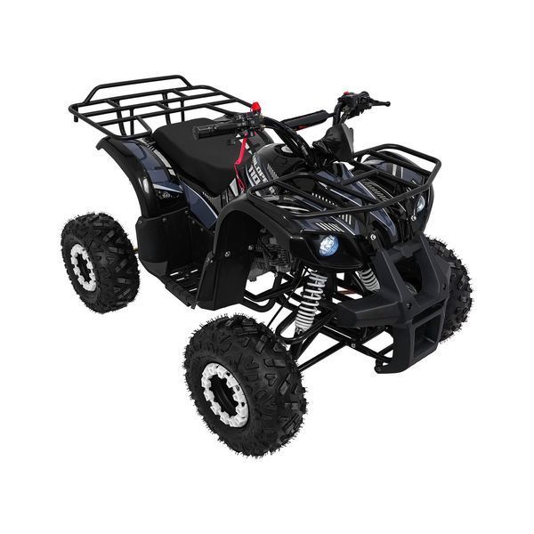 Квадроцикл бензиновий WILDPEAK 110cc Чорний PSP.ATV006.CZ фото