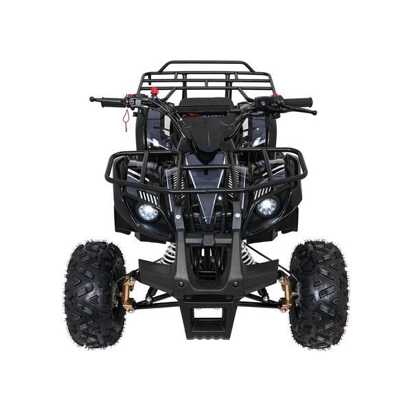 Квадроцикл бензиновий WILDPEAK 110cc Чорний PSP.ATV006.CZ фото