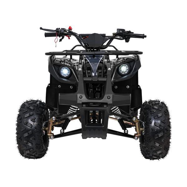 Квадроцикл бензиновий WILDPEAK 110cc Чорний PSP.ATV006.CZ фото