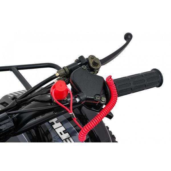 Квадроцикл бензиновий WILDPEAK 110cc Чорний PSP.ATV006.CZ фото