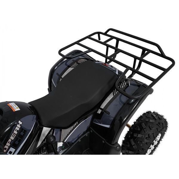 Квадроцикл бензиновий WILDPEAK 110cc Чорний PSP.ATV006.CZ фото