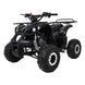Квадроцикл бензиновий WILDPEAK 110cc Чорний PSP.ATV006.CZ фото 1