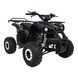 Квадроцикл бензиновий WILDPEAK 110cc Чорний PSP.ATV006.CZ фото 3