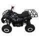 Квадроцикл бензиновий WILDPEAK 110cc Чорний PSP.ATV006.CZ фото 5
