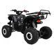 Квадроцикл бензиновий WILDPEAK 110cc Чорний PSP.ATV006.CZ фото 6
