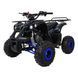 Квадроцикл бензиновий WILDPEAK 110cc Синій PSP.ATV006.NIE фото