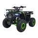 Квадроцикл бензиновий 125CC DISCOVERER Зелений PSP.ATV009.8.ZIE фото