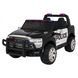 RAM 3500 Police Vehicle Black Чорний PA.JJ2599P.CZ фото 1