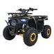 Квадроцикл бензиновий 125CC DISCOVERER Жовтий PSP.ATV009.8.ZOL фото