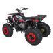Квадроцикл бензиновий 200CC MONSTER Червоний PSP.ATV013.CR фото 9