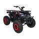 Квадроцикл бензиновий 200CC MONSTER Червоний PSP.ATV013.CR фото 11
